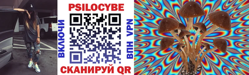 Псилоцибиновые грибы Psilocybe  Иноземцево 